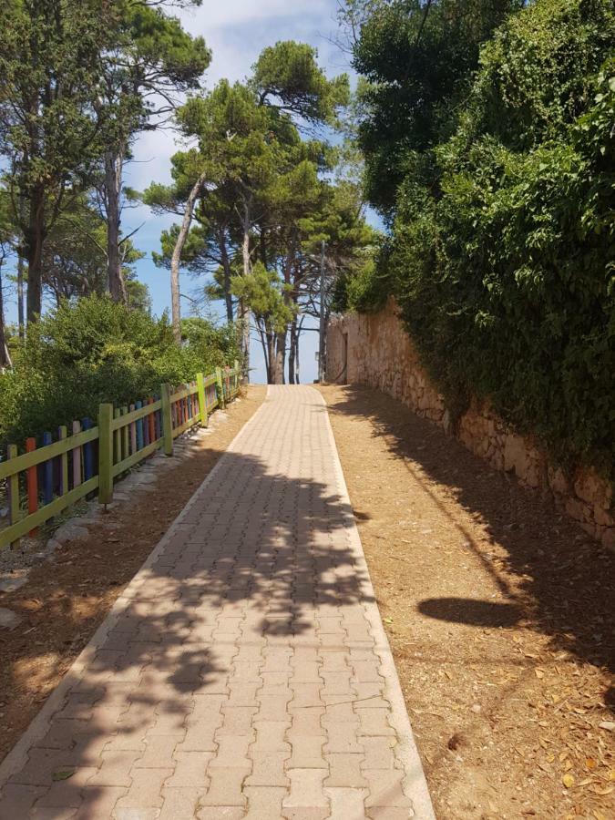 Apartment Zdenka Veli Losinj Exterior photo